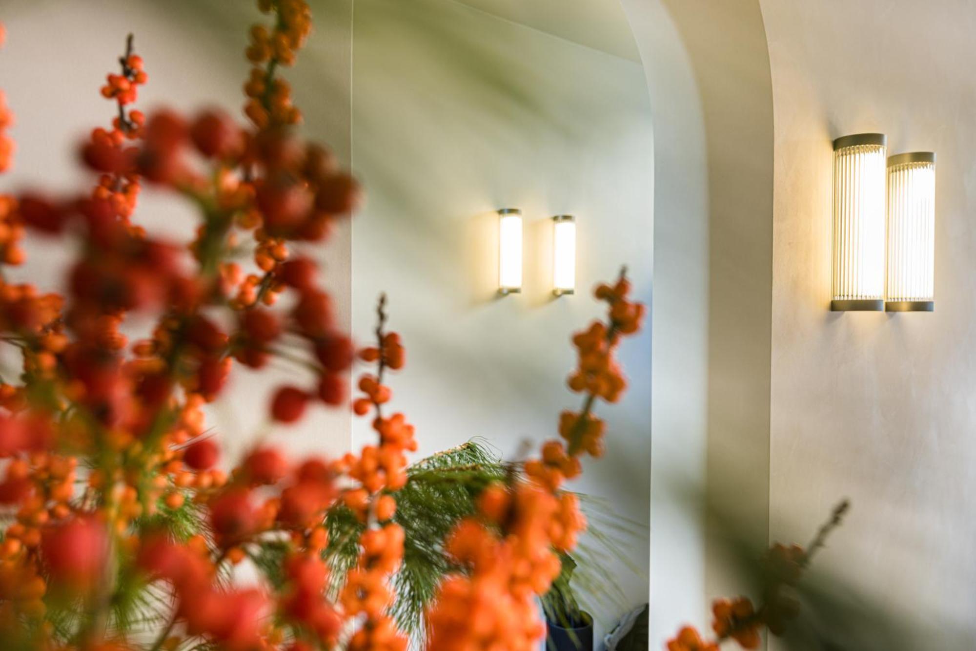 Istoire Boutique Bed & Breakfast Brugge Dış mekan fotoğraf
